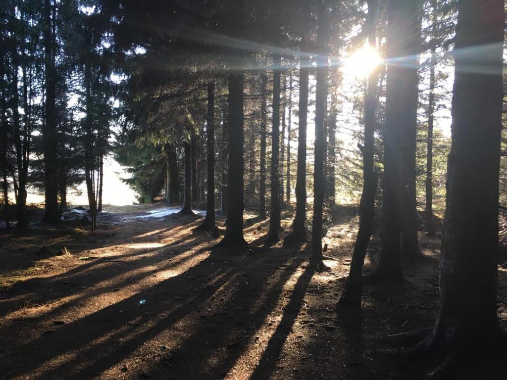 Apartmány Forest Kovářská Esterno foto